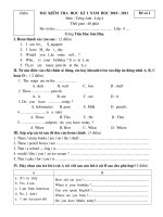 Bài giảng DE THI CUOI KY LOP 4