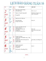 GA L5 T16 CKT.BVMT.KNS