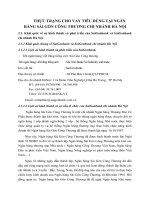 THỰC TRẠNG CHO VAY TIÊU DÙNG TẠI NGÂN HÀNG SÀI GÒN CÔNG THƯƠNG CHI NHÁNH HÀ NỘI