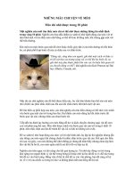 Bài soạn kE CHUYEN VE MEO (2011)