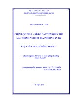 Luận văn chọn lọc full   sib để cải tiến quần thể mẫu giống ngô nếp địa phương GN 166 