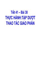 Bài giảng tiết 41 TH tập dượt thao tác giao phấn