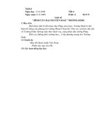 Tài liệu BTDNS Trương Định