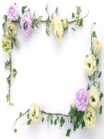 Bài giảng Khung trang trí