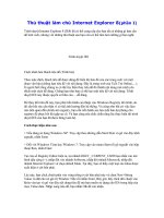 Gián án Làm chủ Internet Explorer 8