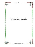 Lý thuyết thị trường vốn