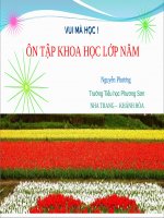 Vui mà học Ôn tập Khoa học Lớp 5