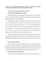 CƠ SỞ LÝ LUẬN VỀ HỆ THỐNG KIỂM SOÁT NỘI BỘ VÀ ĐÁNH GIÁ HỆ THỐNG KIỂM SOÁT NỘI BỘ TRONG KIỂM TOÁN BÁO CÁO TÀI CHÍNH