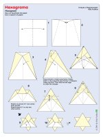 Nghệ thuật xếp hình Nhật Bản: hexagram