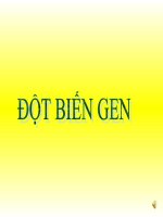 Bài soạn chương 4: biến dị