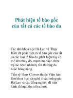 Phát hiện tế bào gốc của tất cả các tế bào da