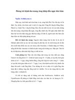 Phòng trừ bệnh đen mang, long khớp đầu ngực tôm hùm