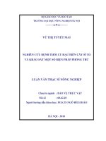 Nghiên cứu bệnh thối củ hại trên cây sì to và khảo sát một số biện pháp phòng trừ 