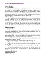 SKKN GDMT trong môn Sinh học