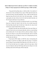 HOÀN THIỆN HẠCH TOÁN LCHH NK TẠI CÔNG TY TNHH VĂN MINH