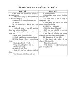 CẤU TRUC ĐỀ KIỂM TRA VẬT LÝ