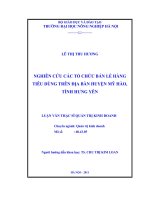 Luận văn nghiên cứu các tổ chức bán lẻ hàng tiêu dùng trên địa bàn huyện mỹ hào, tỉnh hưng yên khóa 18  