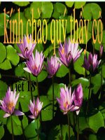 Bài soạn tiết 18.phản úng hóa học