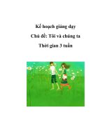 Kế hoạch giảng dạy - Chủ đề: Tôi và chúng ta