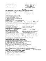 Đề và đáp án Tin 10