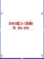 Bài 19. Tuần hoàn máu