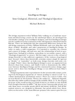 Intelligent Design - Some Geological, Historical, and Theological Questions