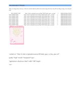 Code tạo danh ngôn nhà giáo