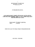 Giải pháp phát triển tín dụng ngân hàng cho doanh nghiệp nhỏ và vừa trên địa bàn thành phố đà nẵng 