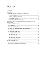 Chiến lược kinh doanh gốm sứ tại thị trường Nga - công ty minh long