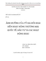 TIỂU LUẬN ẢNH HƯỞNG của tỷ GIÁ hối đoái đến HOẠT ĐỘNG THƯƠNG mại QUỐC tể, đầu tư và các HOẠT ĐỘNG KHÁCx 