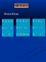 Bài giảng Bài 34- Thoái hoá...