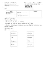 DE KIEM TRA MON TIENG VIET KHi LOPI