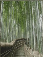 B11: Tây Âu thời hậu kì trung đại (T15,16)