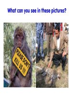 Tài liệu E11 unit 10 part A Reading