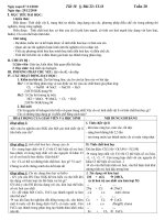 Gián án ga 10cb 2010