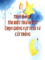 Gián án BÀI THỰC HÀNH SINH 9