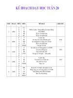 giáo án 3 tuần 20