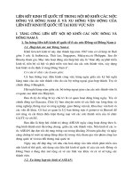 Liên kết kinh tế quốc tế trong nội bộ khối các nước Đông và Đông Nam á và xu hướng vận động của liên kết kinh tế quốc tế tại khu vực này