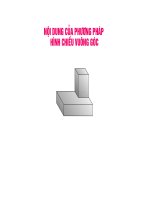 Bài giảng Hinh chieu 8