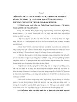 GIẢI PHÁP PHÁT TRIỂN NGHIỆP VỤ KINH DOANH NGOẠI TỆ BẰNG CÁC CÔNG CỤ PHÁI SINH TẠI NGÂN HÀNG NGOẠI THƯƠNG CHI NHÁNH THÀNH PHỐ HỒ CHÍ MINH