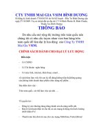 Gián án CO HOI KINH DOANH TAI NHA CUNG VSIM