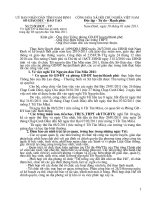 Gián án SOGD NAM DINH THONG BAO NGHI TET TAN MAO2011