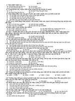 Gián án đê thi thử TN 4