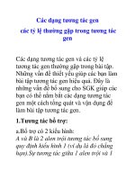 Các dạng tương tác gen