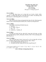 Đề KT HKI 11CB (10-11)