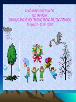 Bài giảng BAI GIANG VE GDMT