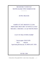 Luận văn nghiên cứu mức protein và lyzin trong khẩu phần thức ăn nuôi gà lai m13 thái hoà x (thái hoà x ai cập) thương phẩm 