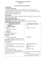 giao an lop 1 tuan 16 cktkn