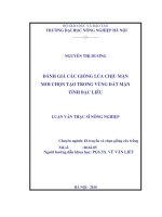 Đánh giá các giống lúa chịu mặn mới chọn tạo trong vùng đất mặn tỉnh bạc liêu 