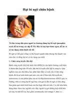 Hạt bí ngô chữa bệnh